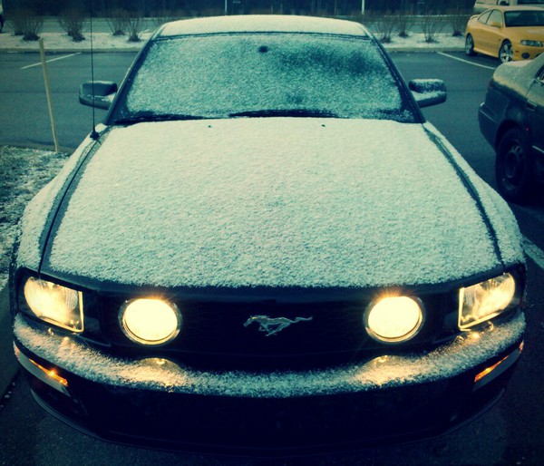 My car in white.  Mustang in snow.